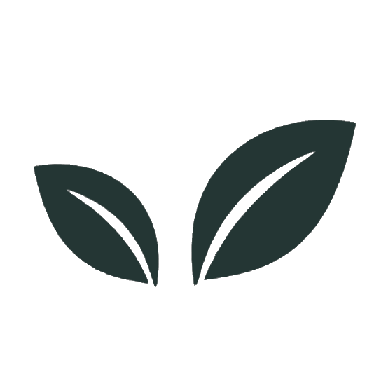 LocalGigs logo